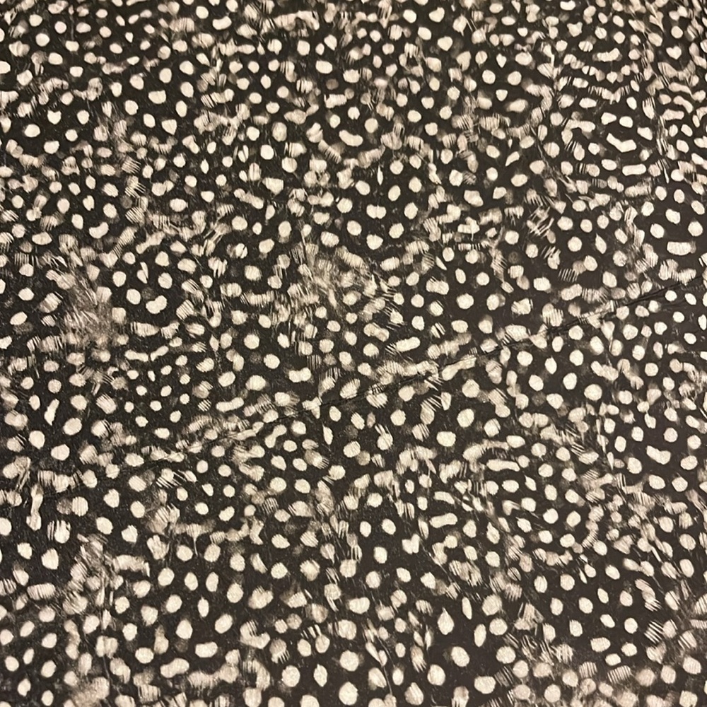 Zoffany Guinea Fowl Wallpaper in Charcoal